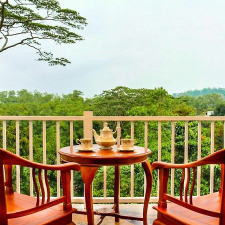 Bee View Home Stay Kandy Zewnętrze zdjęcie