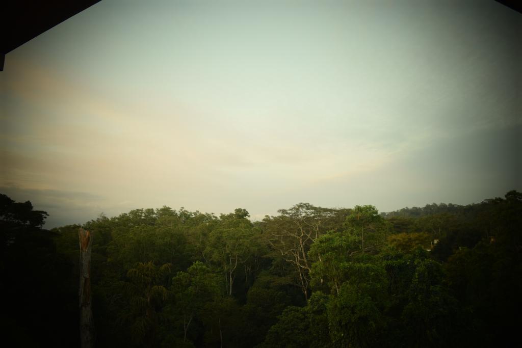 Bee View Home Stay Kandy Zewnętrze zdjęcie